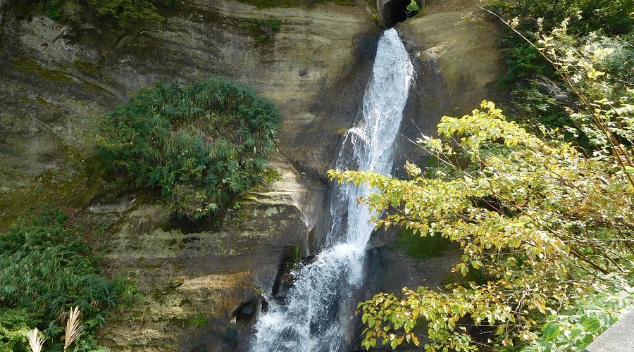 🏞️ 거석 공원 (쿄세키 파크) 이미지 7